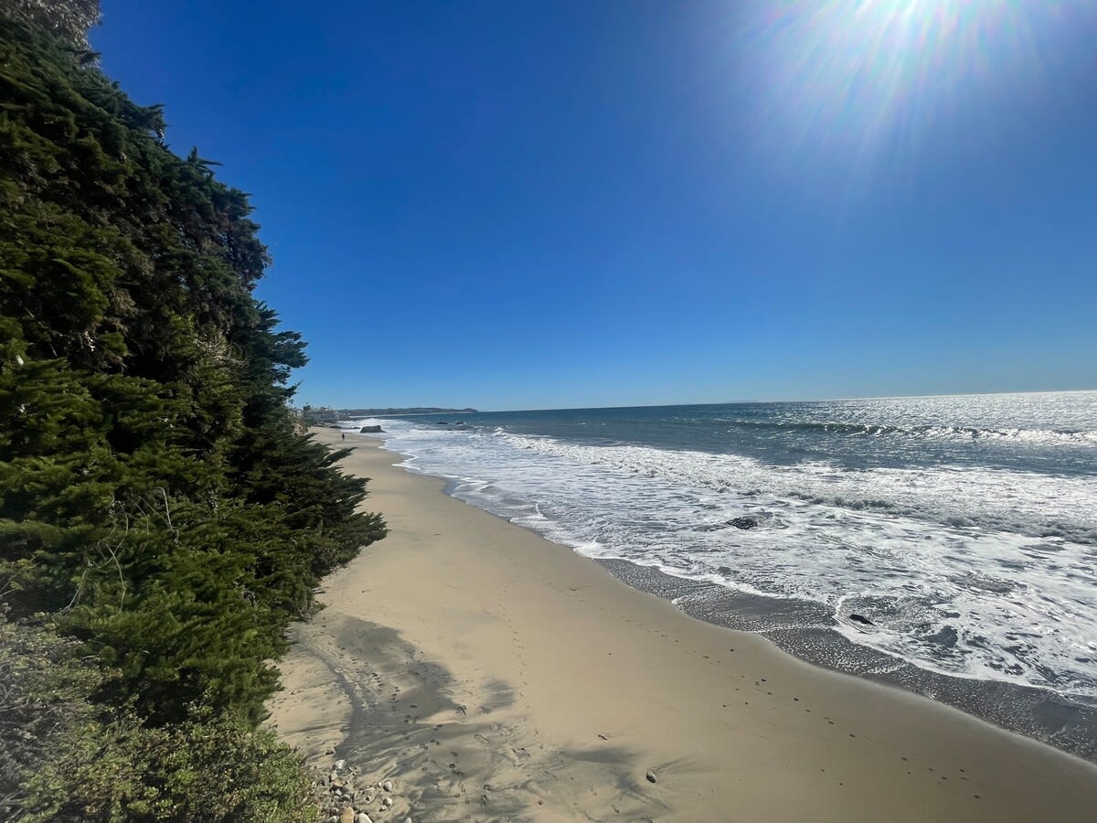 Sunny Malibu Day almost everyday! This photos was taken in the winter.