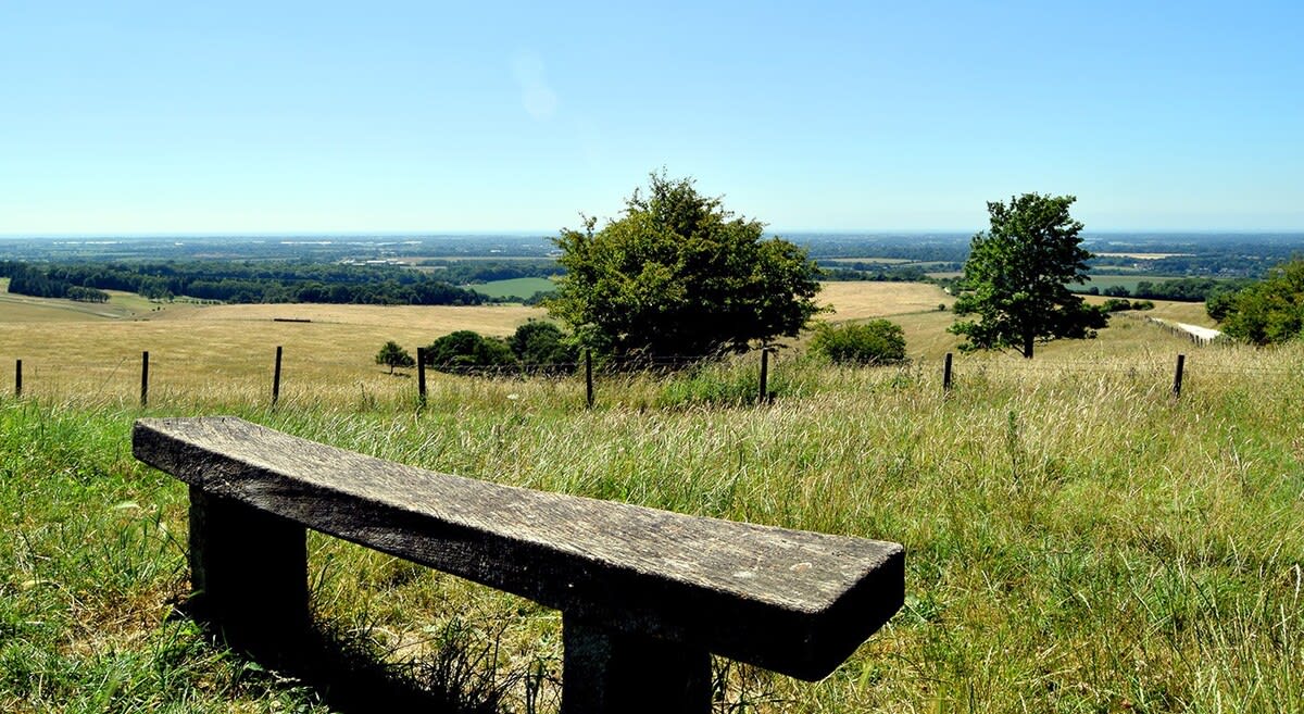 The majestic walk up the Trundle will take you just under an hour from your doorstep