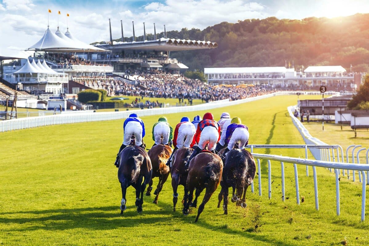Goodwood horse racing is 20 minutes away by car.