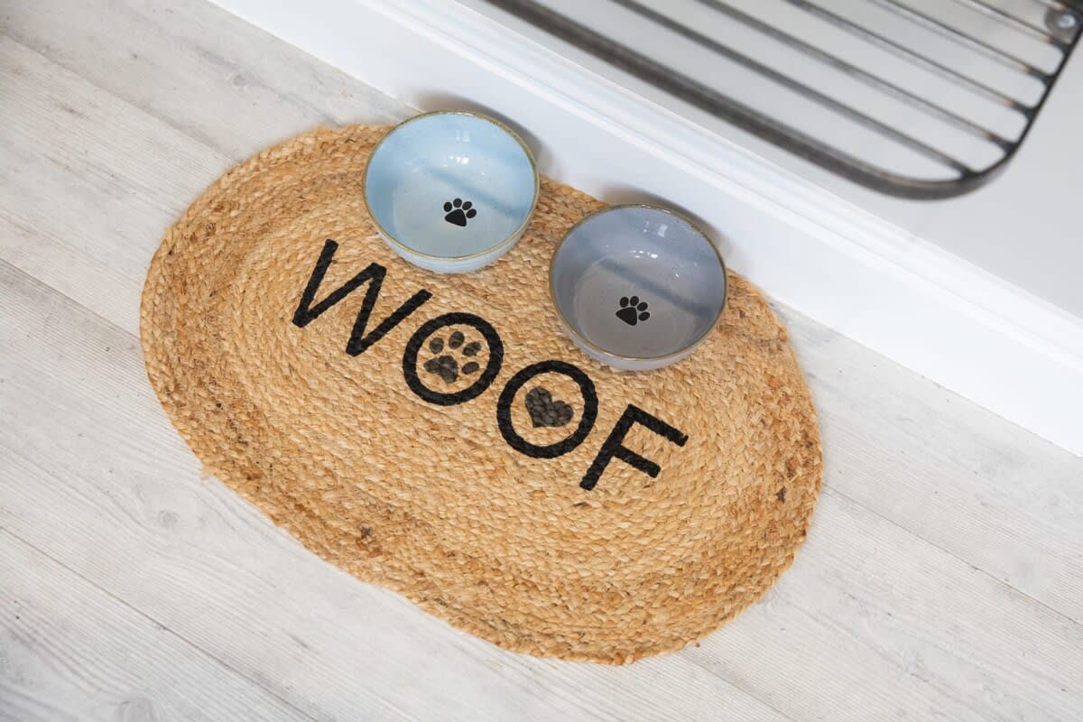 Feel free to bring your pets