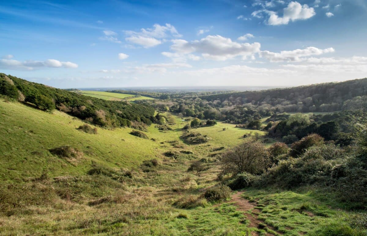 To the north of Chichester is Southdowns National Park, home to stunning scenery, walks, bike trails and wildlife.