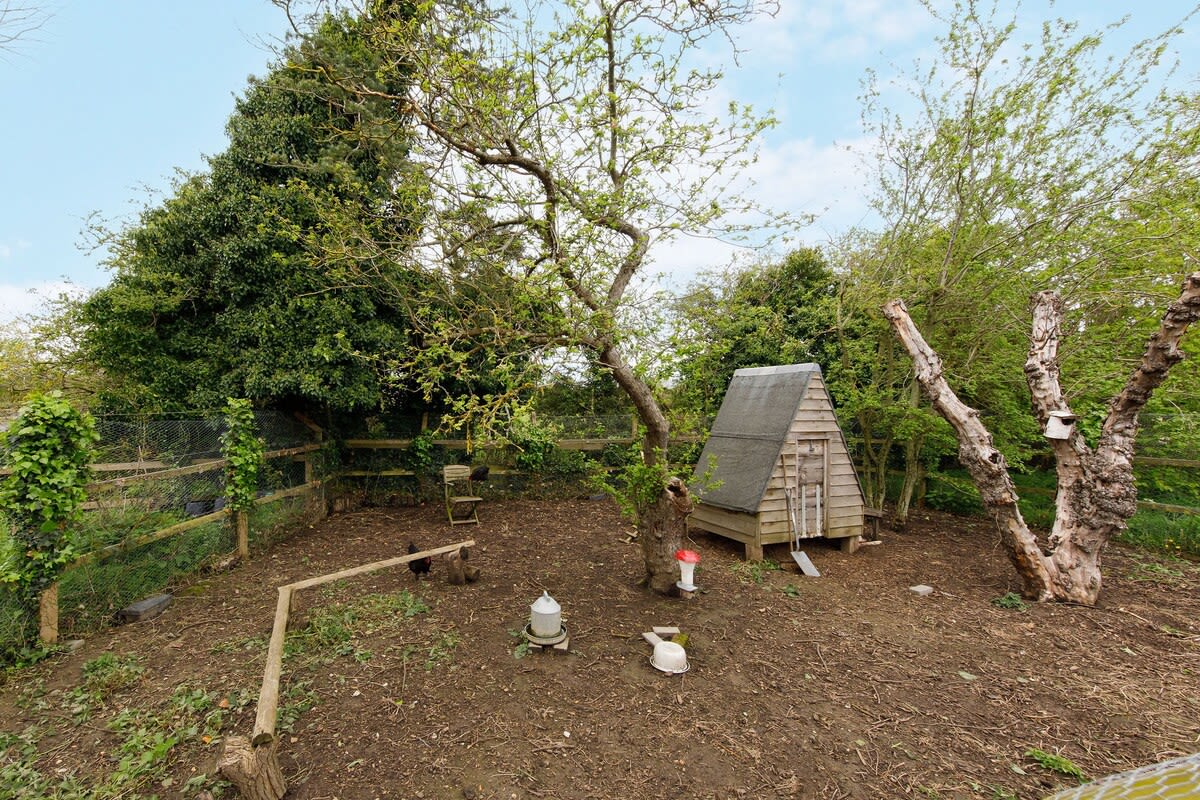 You'll be treated to fresh eggs during your stay.