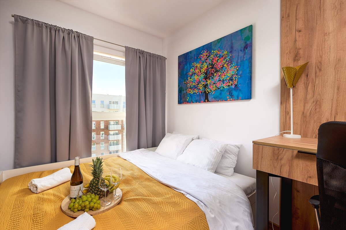 Modern apartment for family