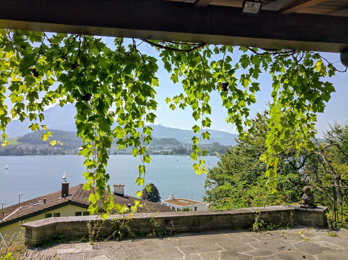 View 7
