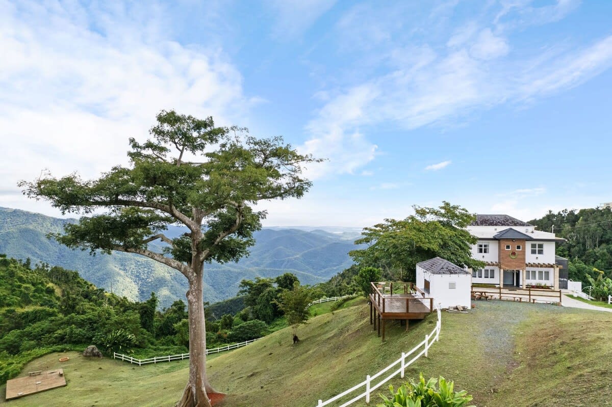 View 6