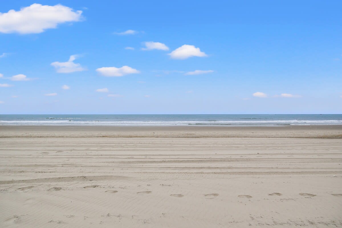 Listing image 61