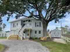 Listing image 55
