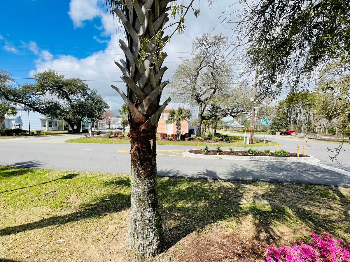 Listing image 21