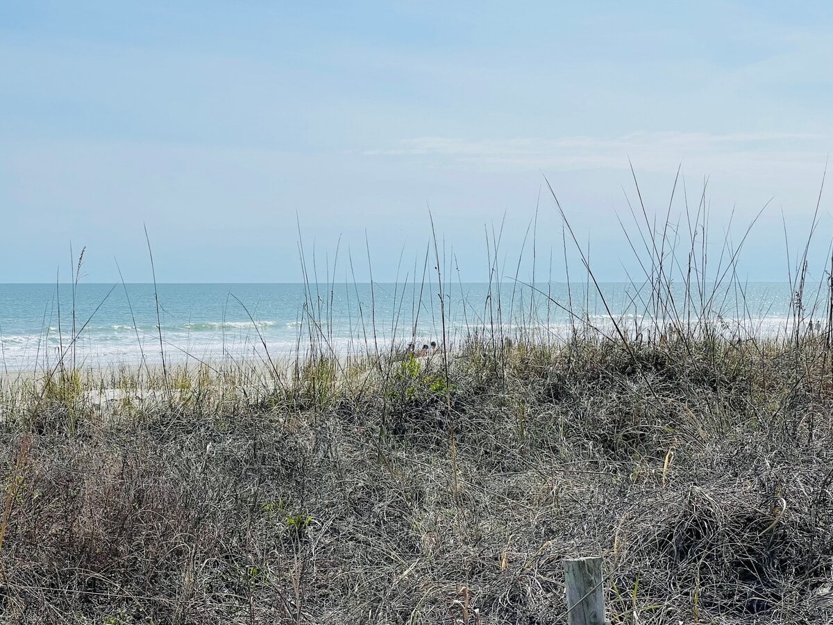 Listing image 65