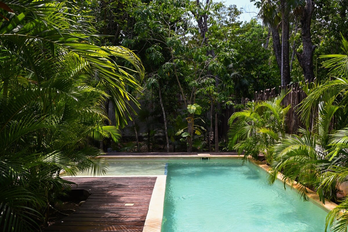 Incredible pool located in the patio