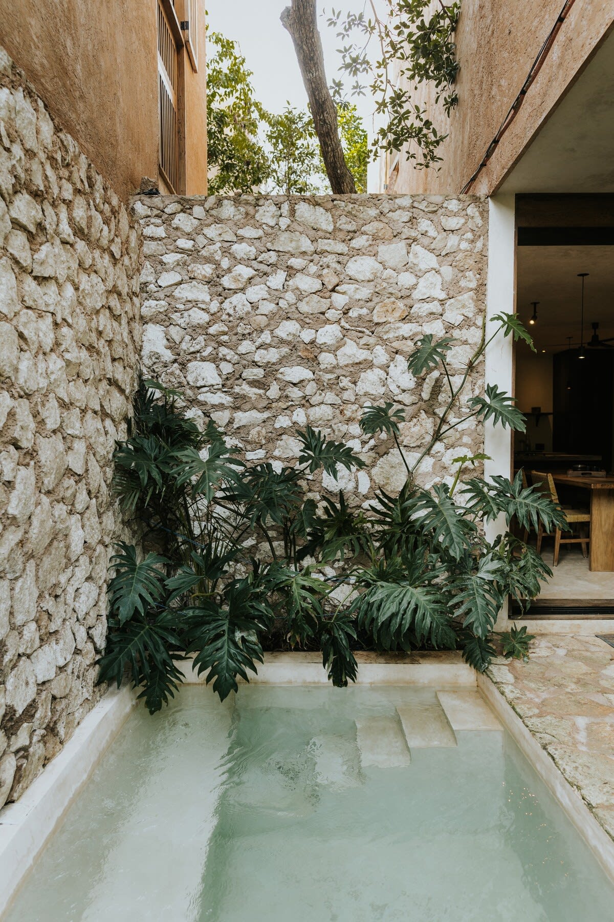 Private dipping pool in garden