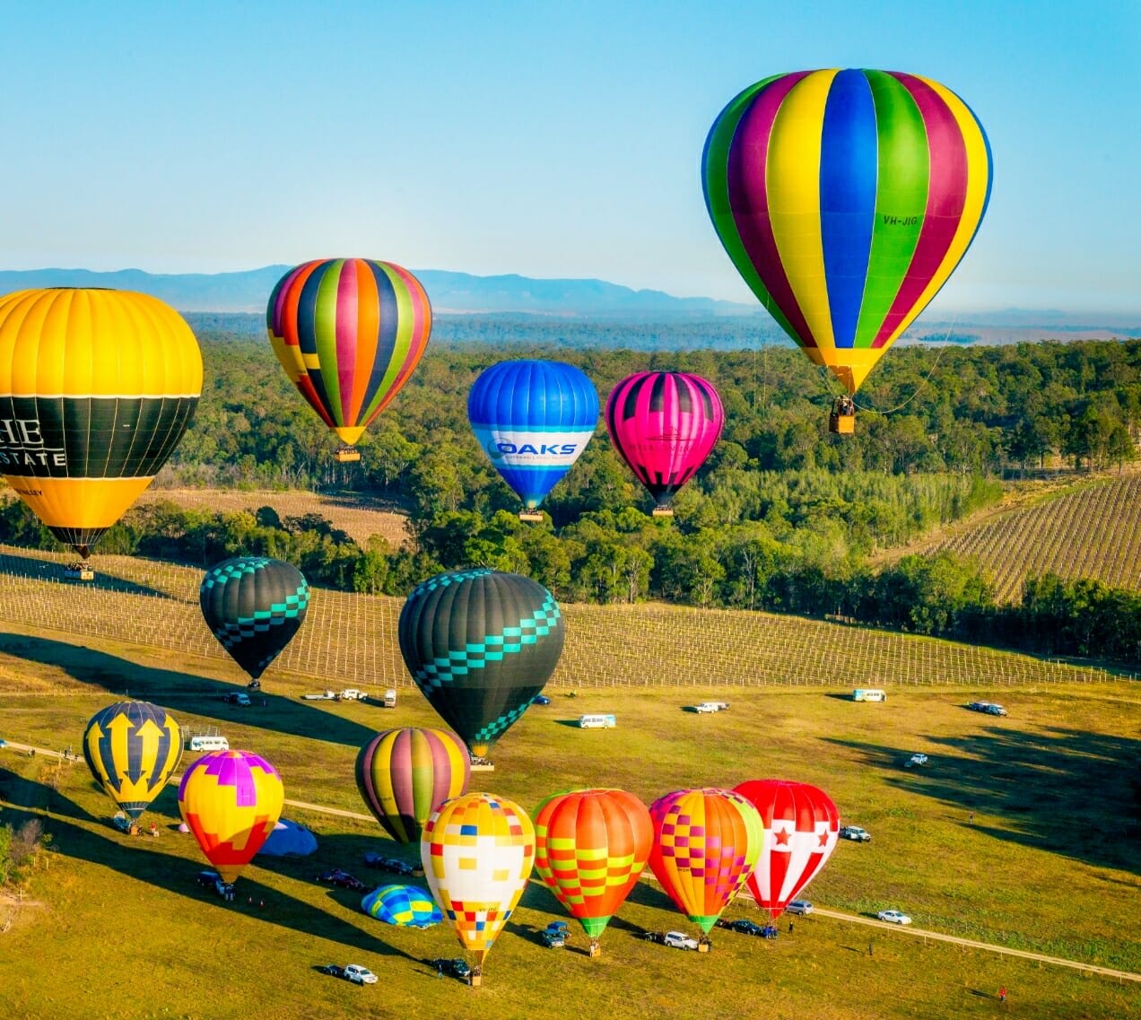 Balloon Aloft - Hunter Valley