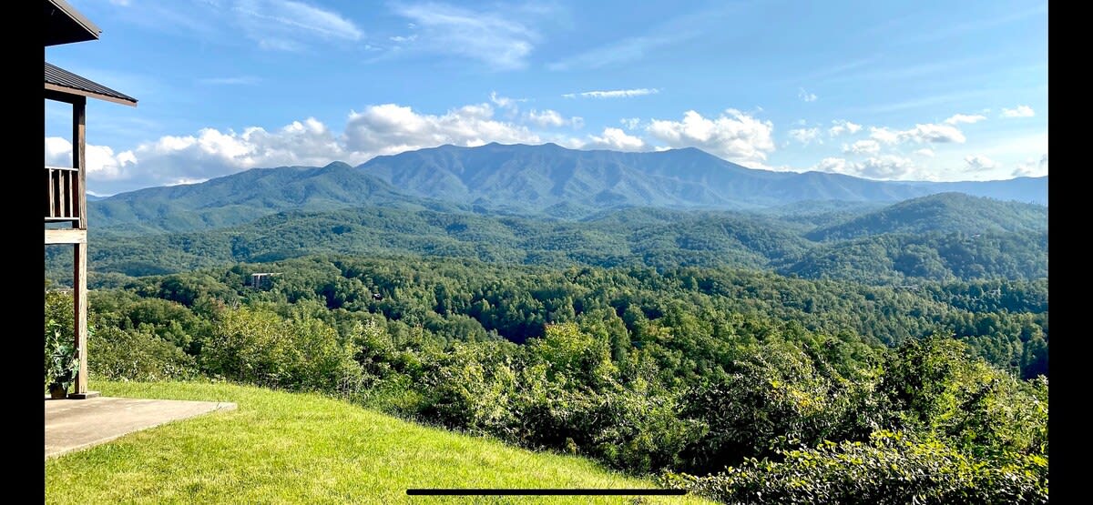 View 8
