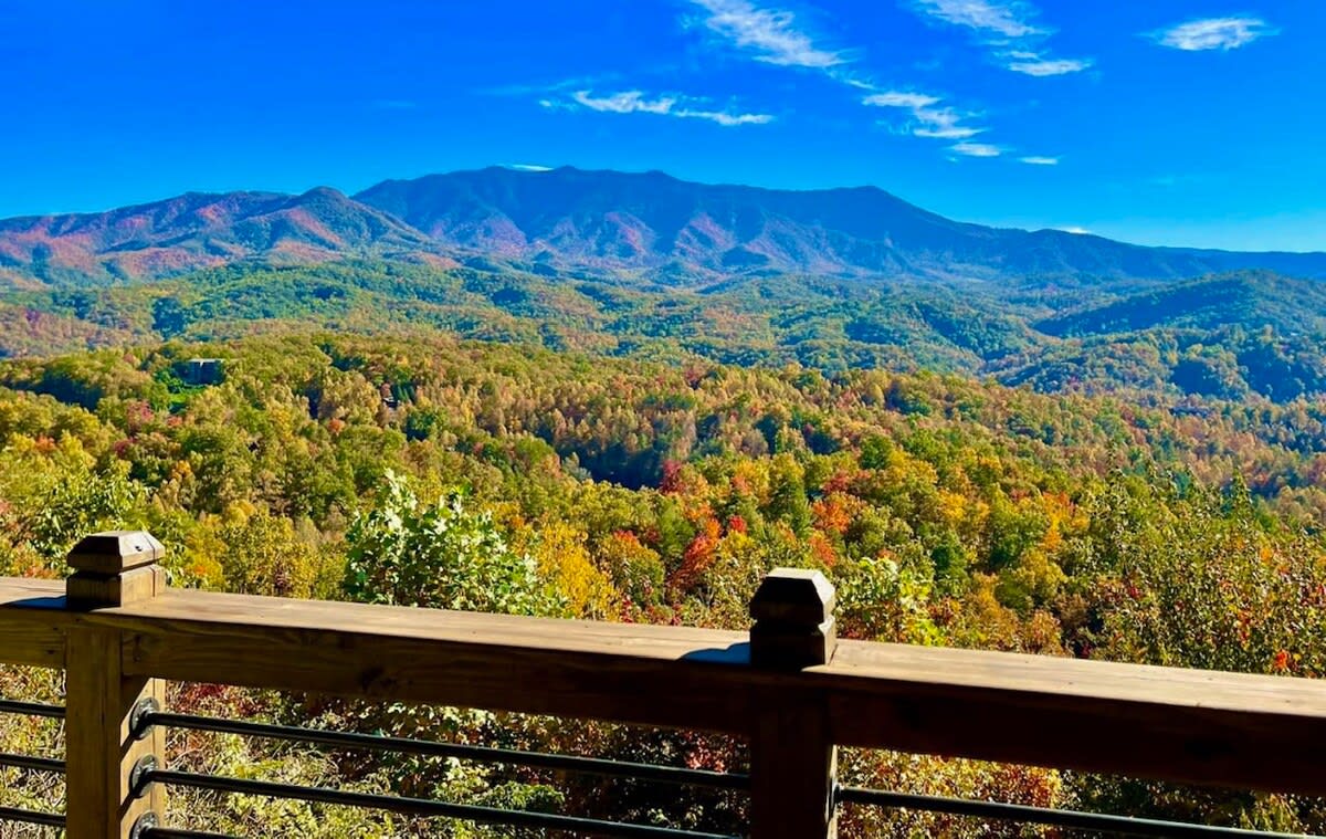 View 3