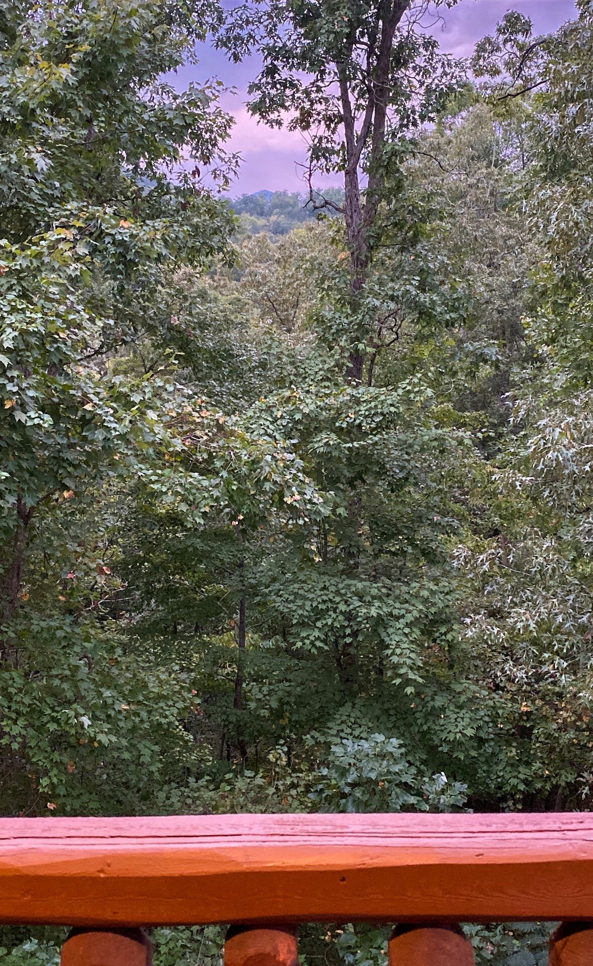 View 5