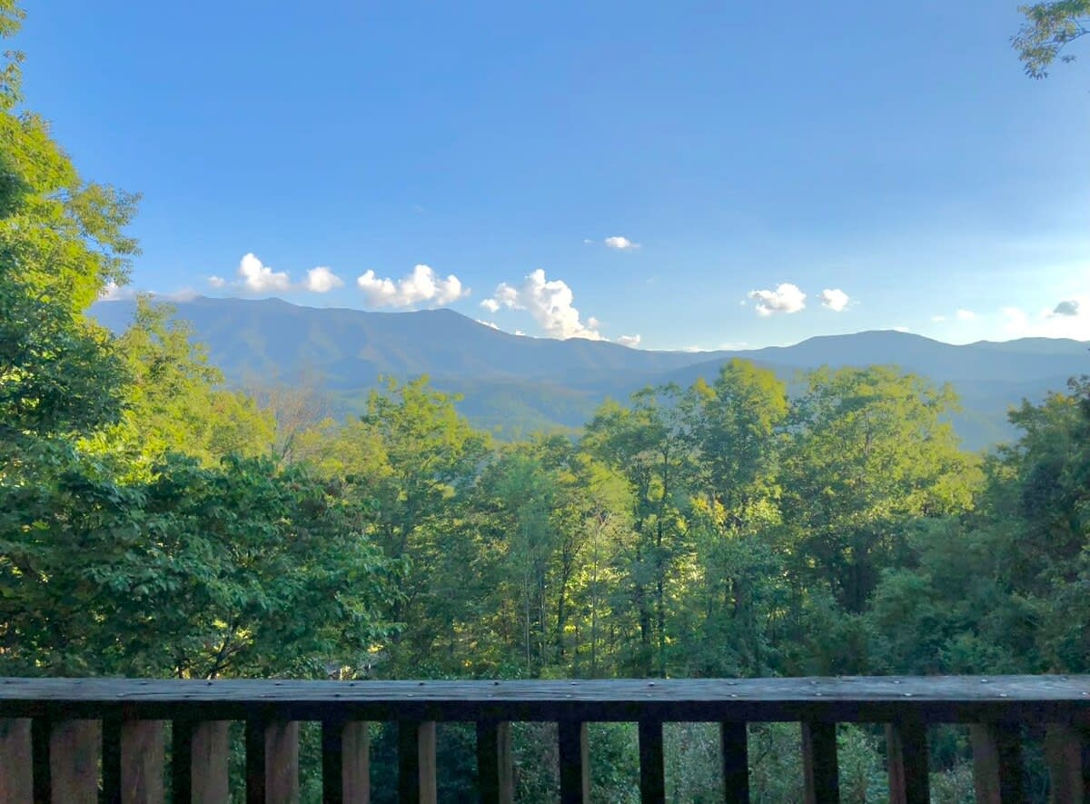 View 7