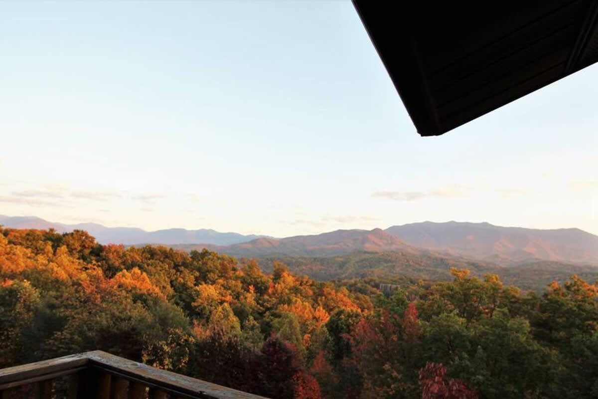 View 9