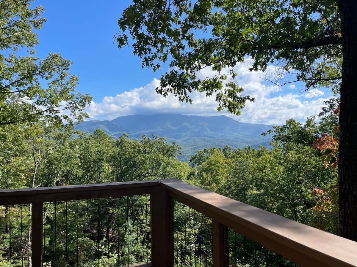 View 2