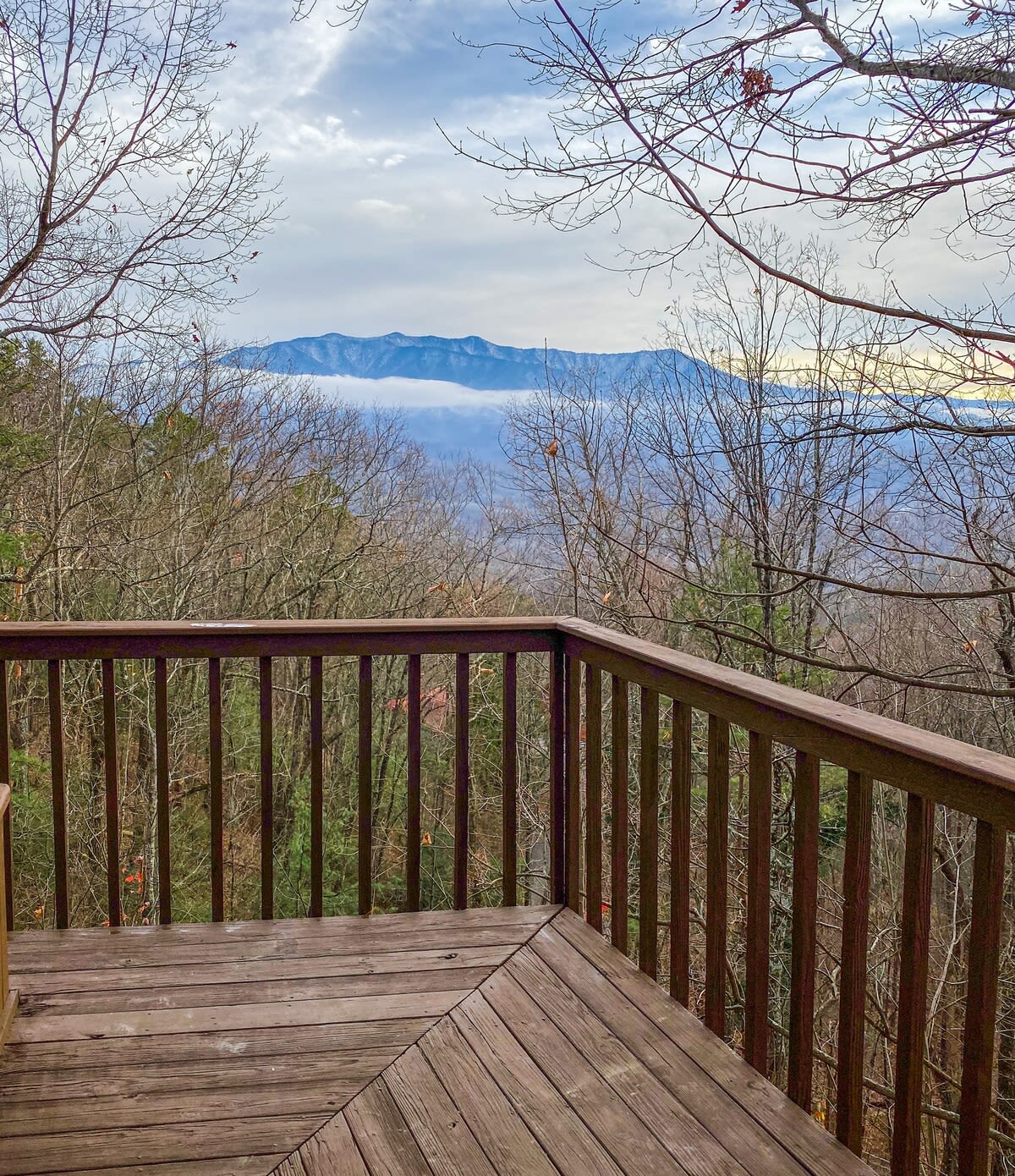 View 7