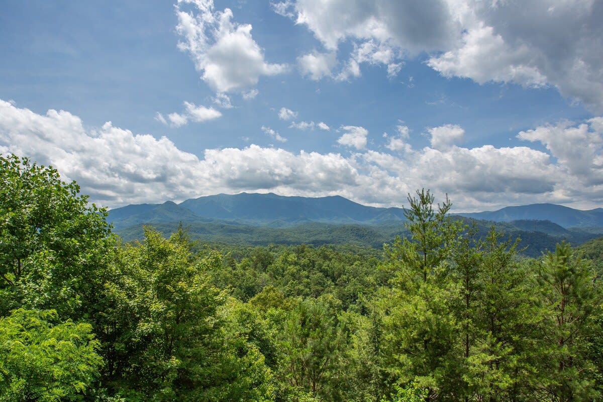 View 9