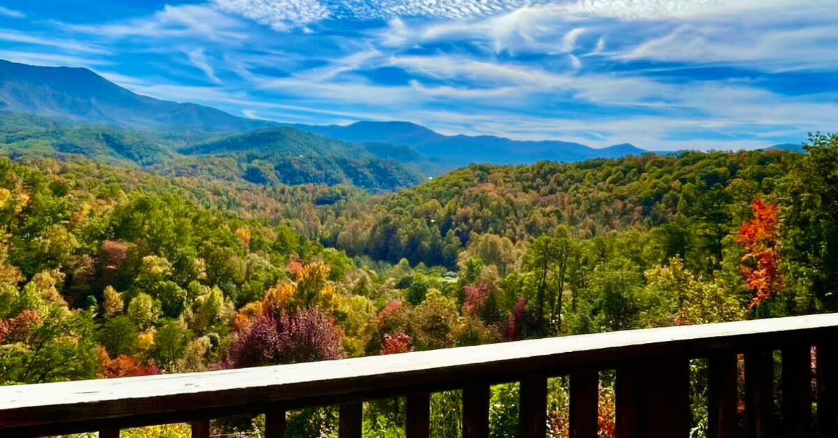 View 9