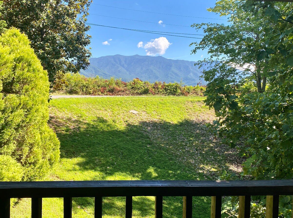 View 6