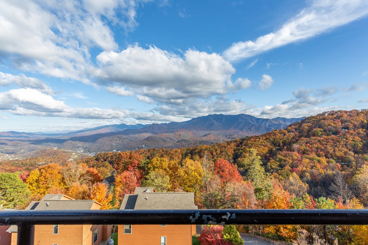 View 6