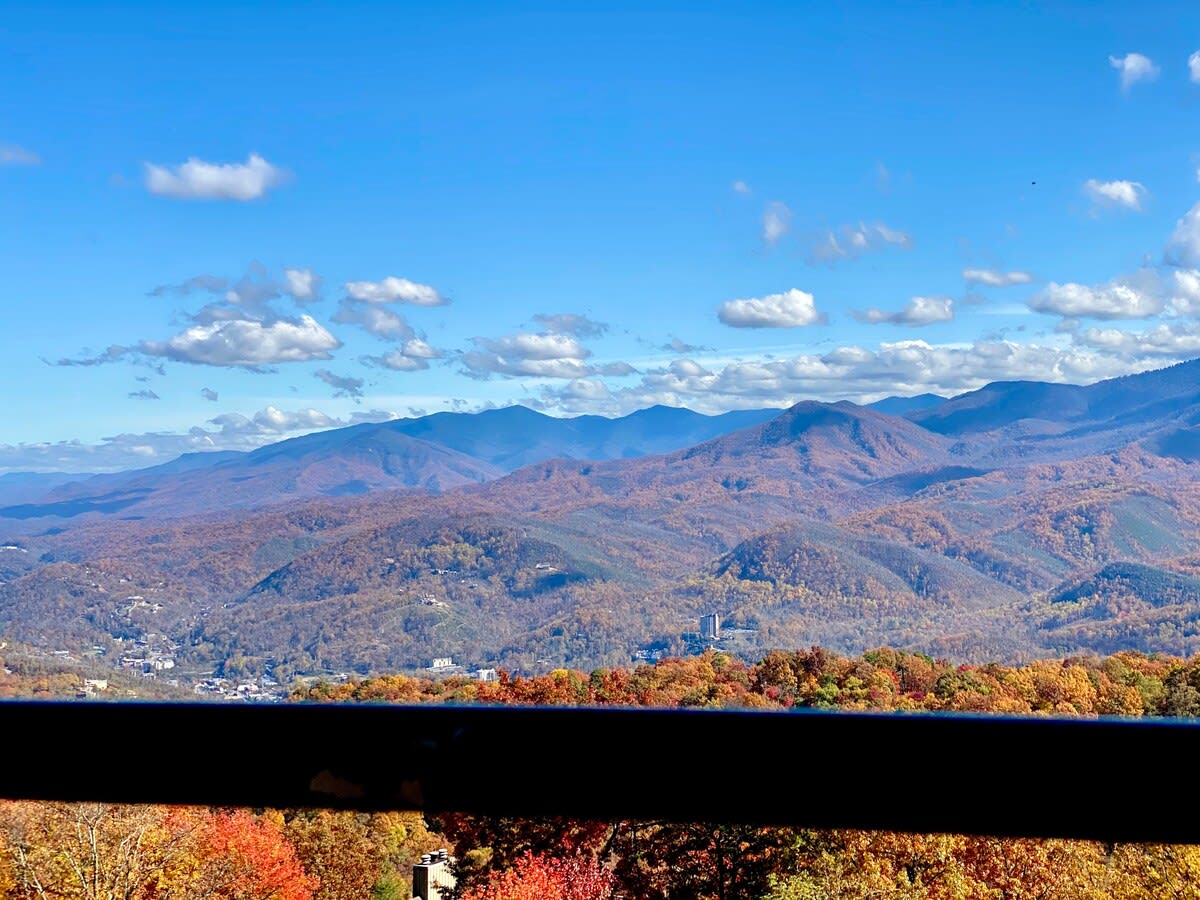 View 9