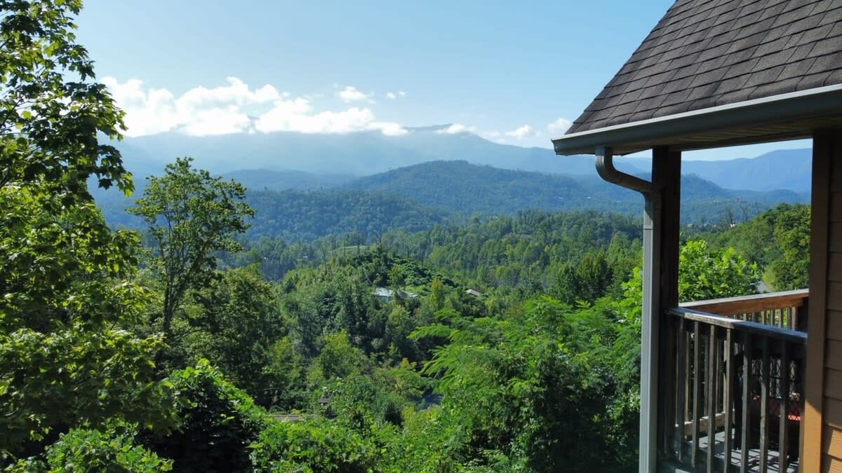 View 8