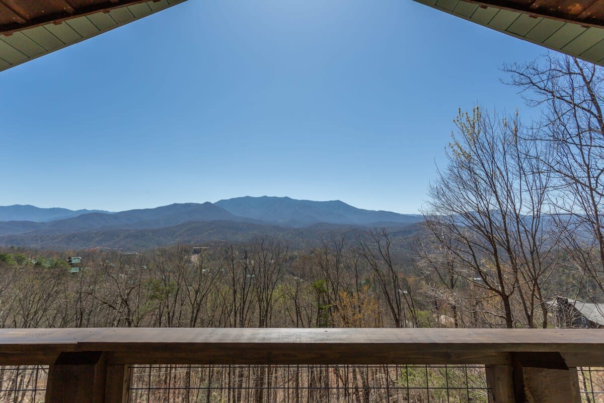 View 5