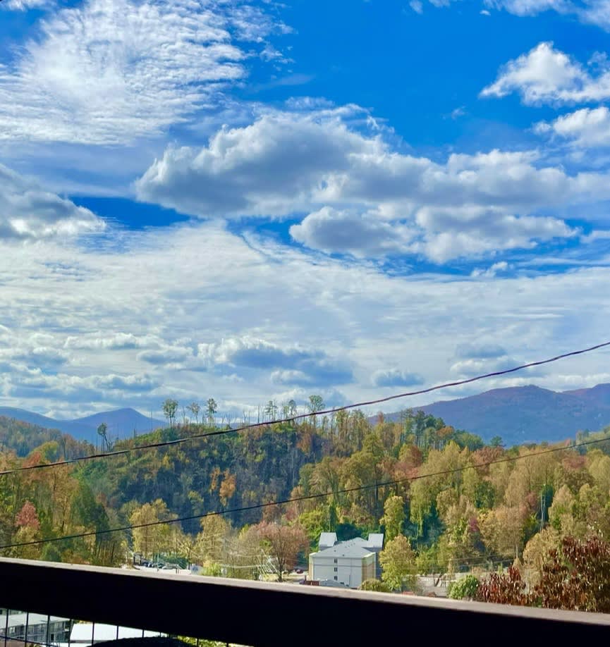 View 7