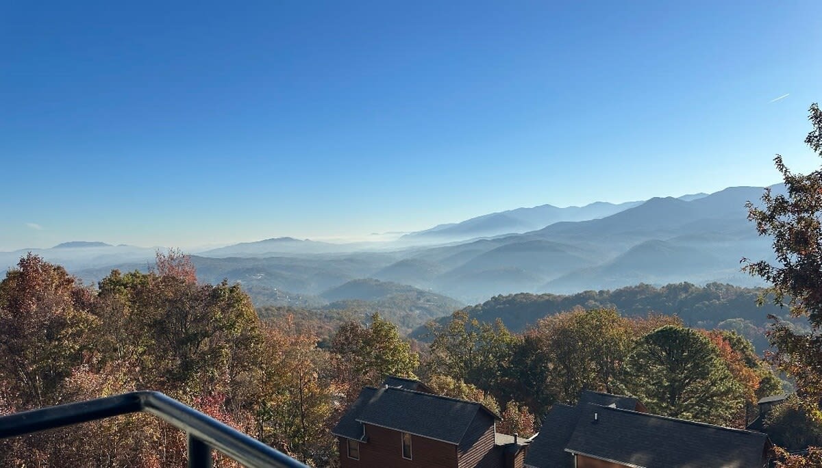 View 6