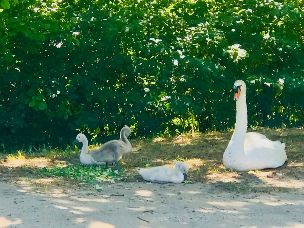 Chez Vous à Uzès - Image 36