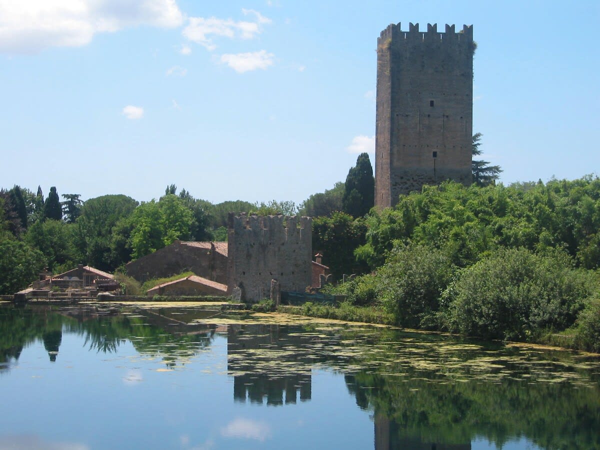 Domus Doull - Image 28