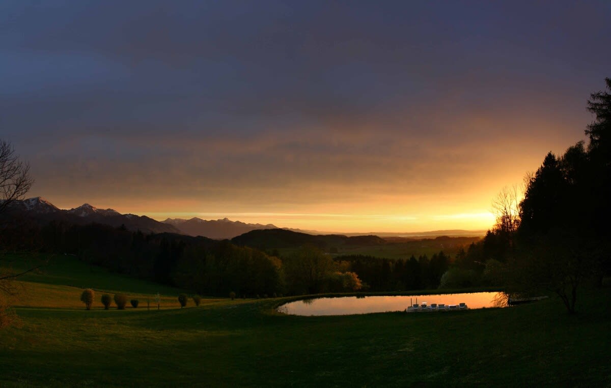 La Pause Musicale - Image 10