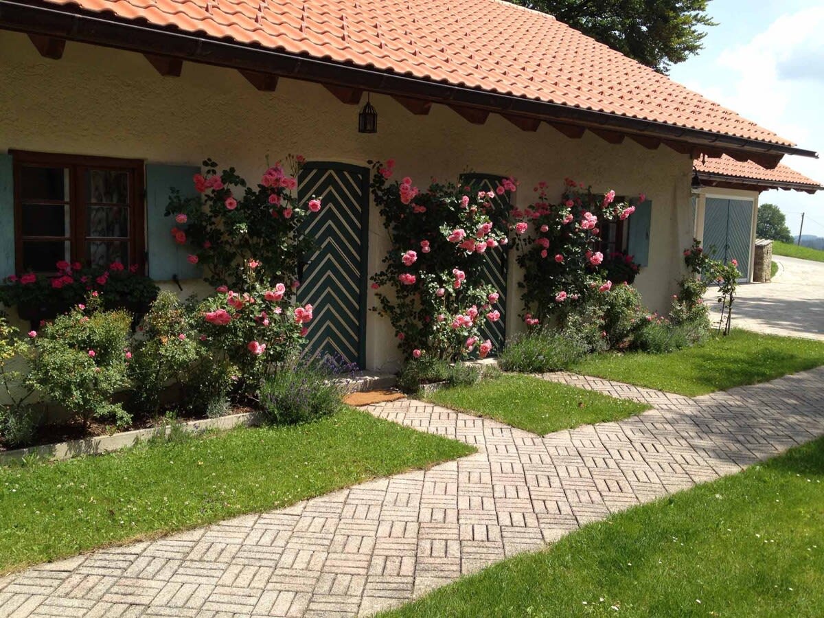 La Pause Musicale - Image 29