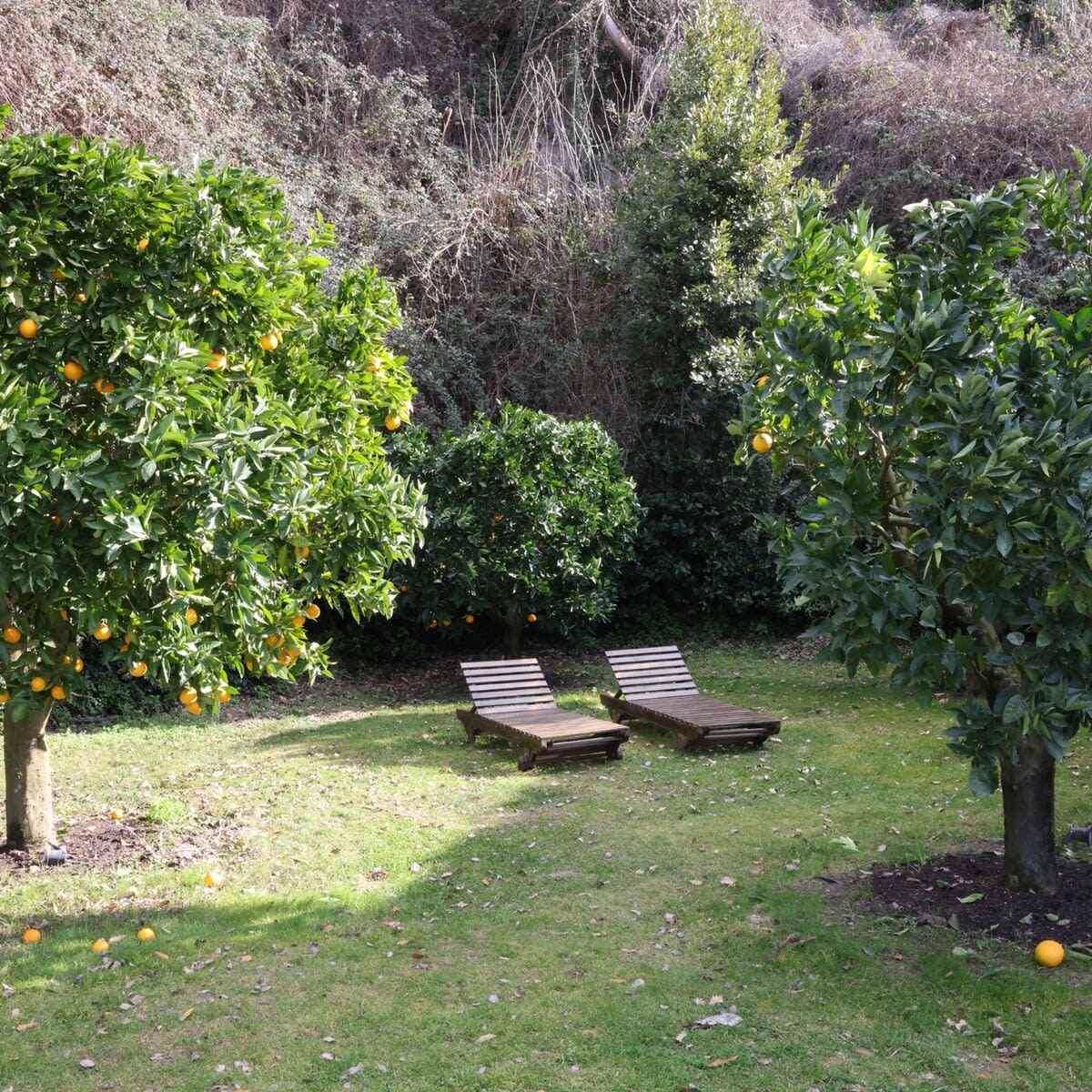 Villa Vinarte - Image 68