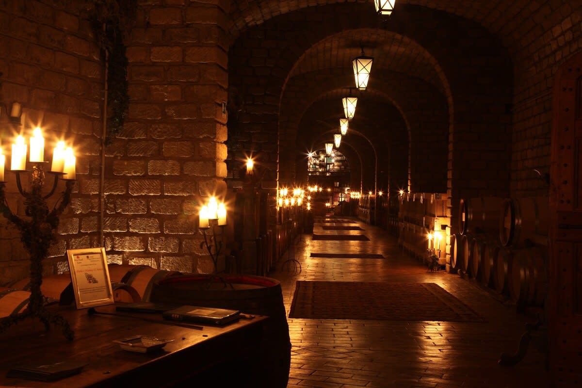 Villa Vinarte - Image 51