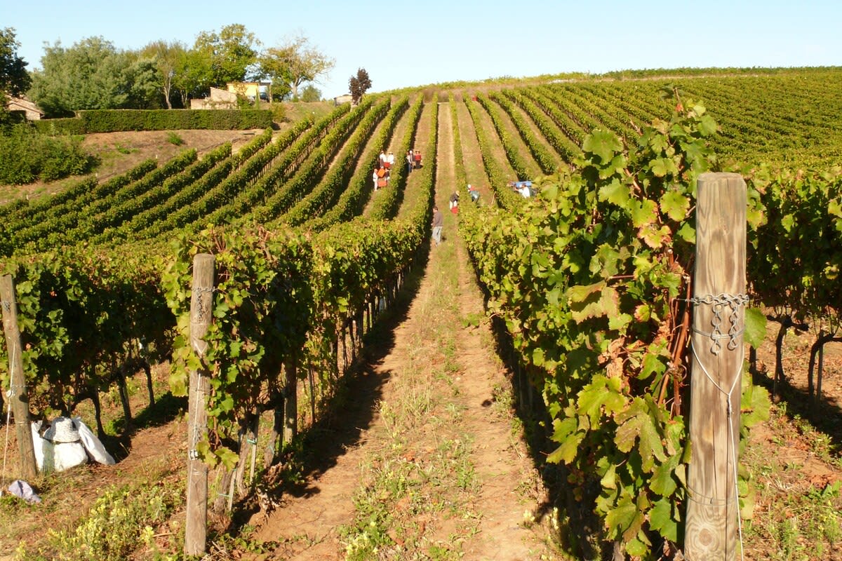 Villa Vinarte - Image 45