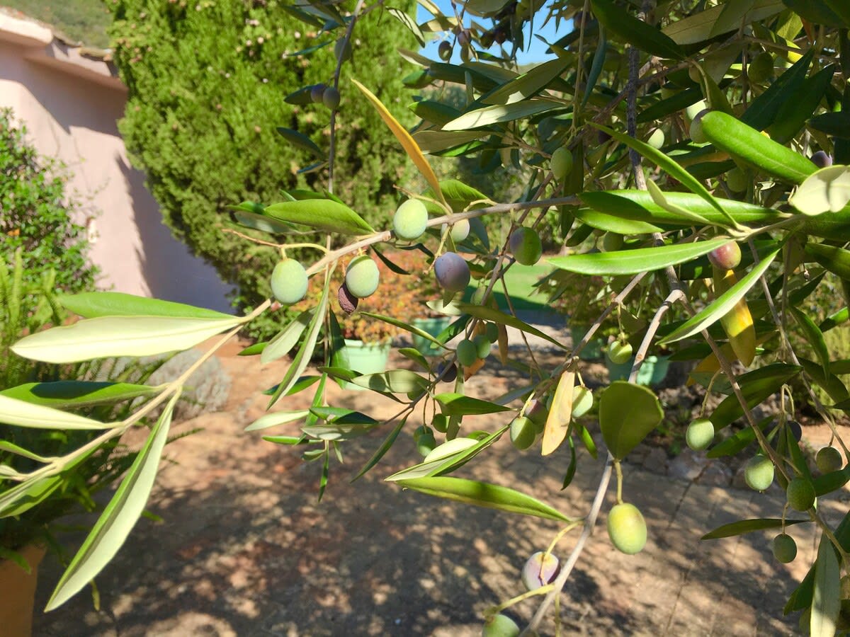 Property thumbnail 31