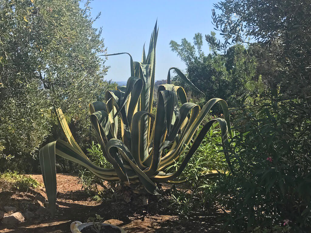 Property thumbnail 8