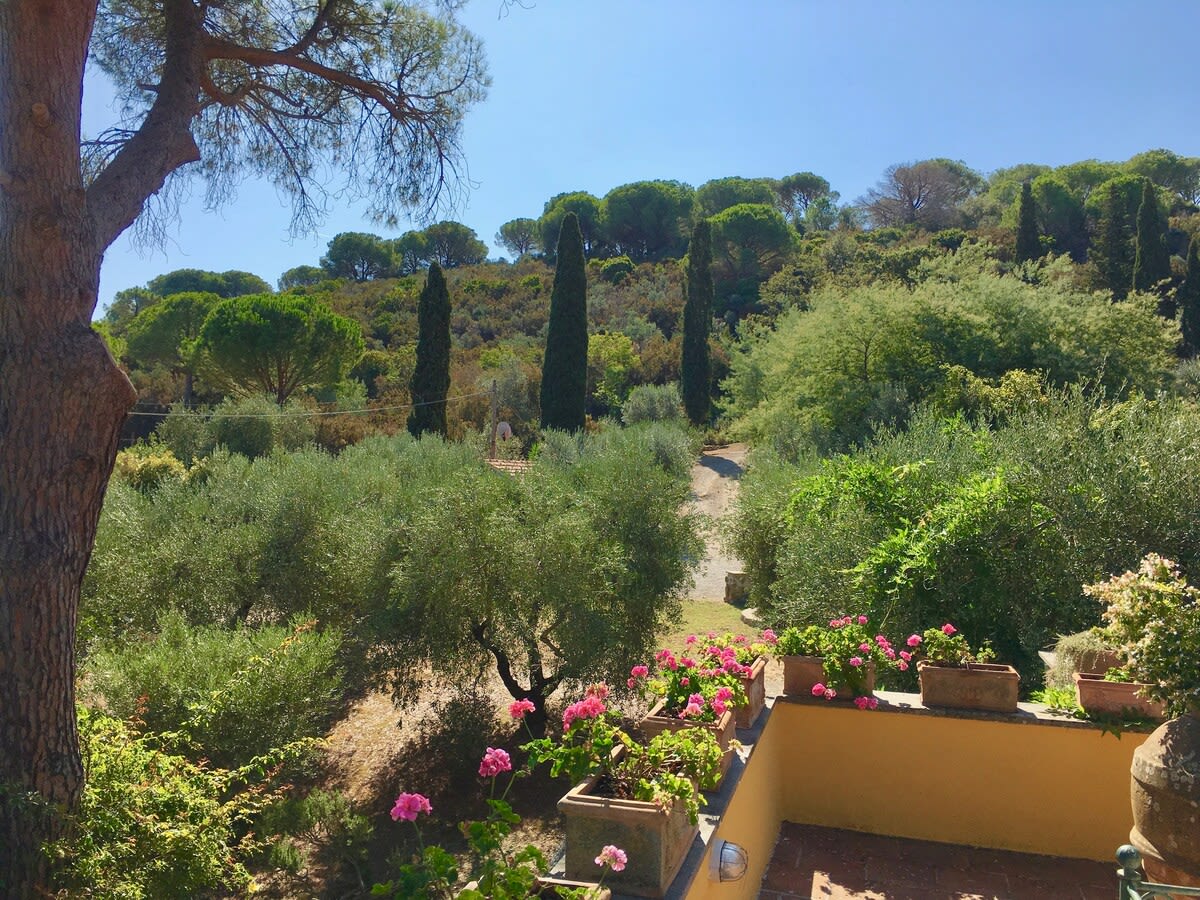 Property thumbnail 20