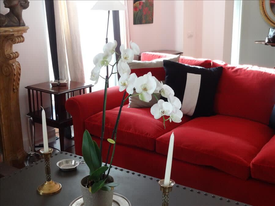 La Camelia - Image 4