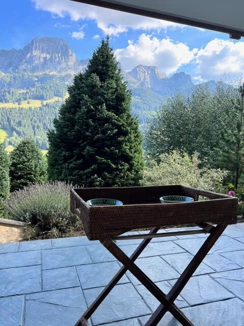 Shamrock Gstaad - Image 15