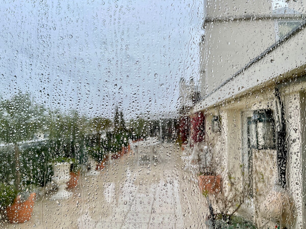 Paris Indulgence - Image 6