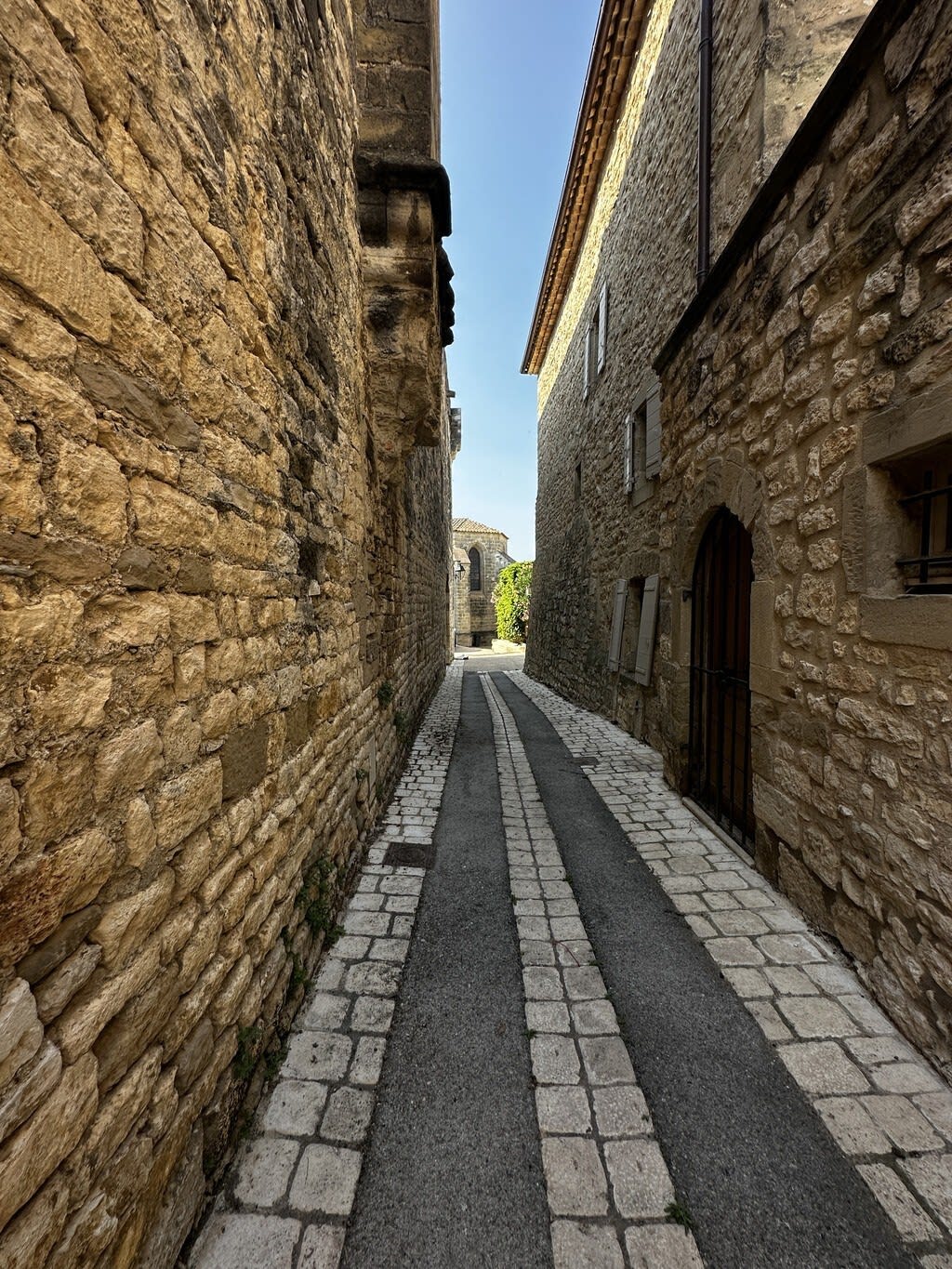 The Vaulted Palace - Image 30