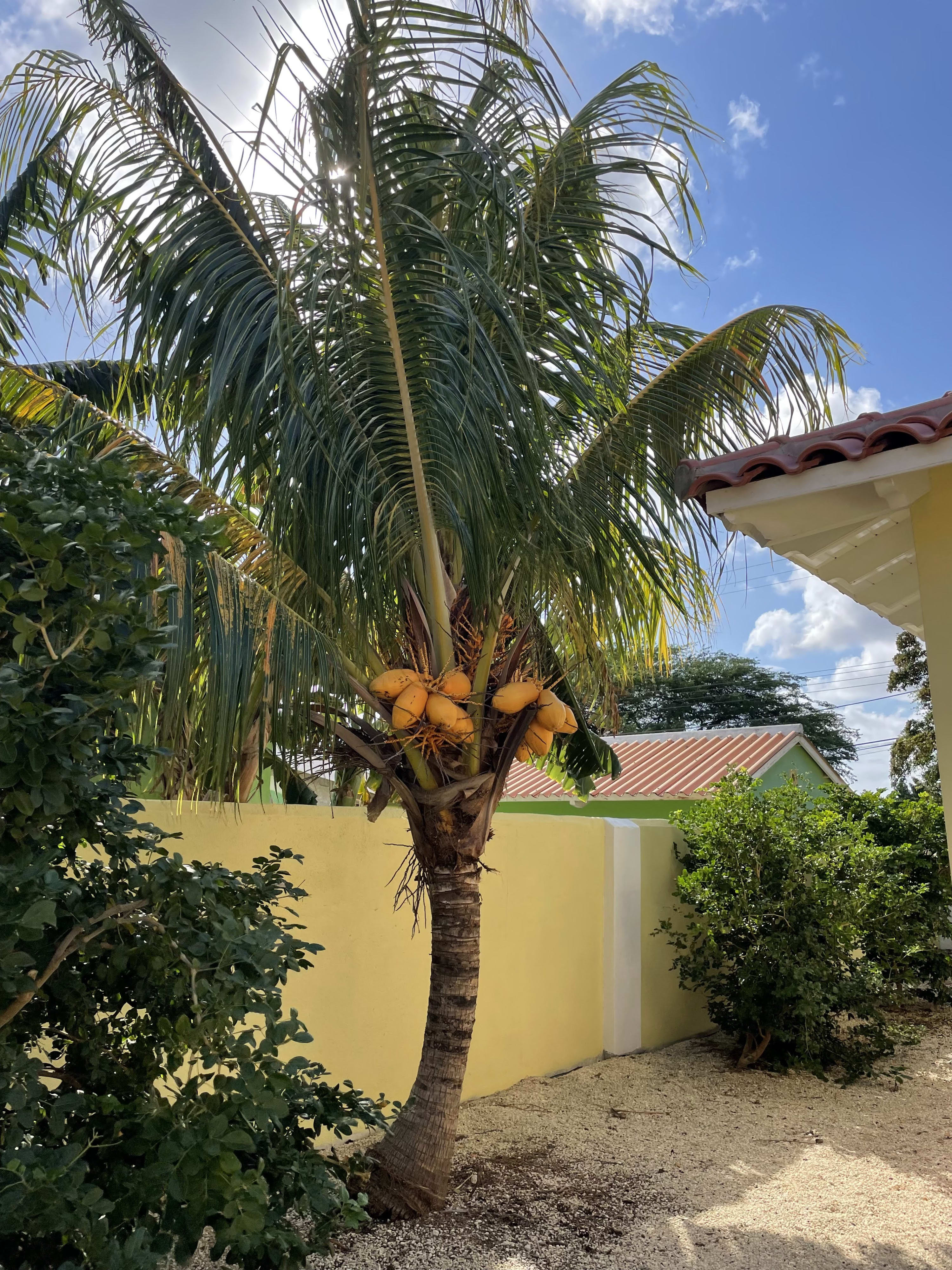 21 Makambaplein, Kralendijk, Caribbean Netherlands