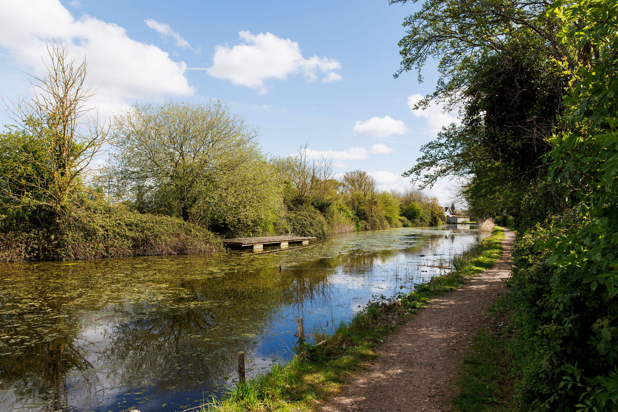 Chichester's canal offers a peaceful place to walk, cycle, paddle board or canoe.
