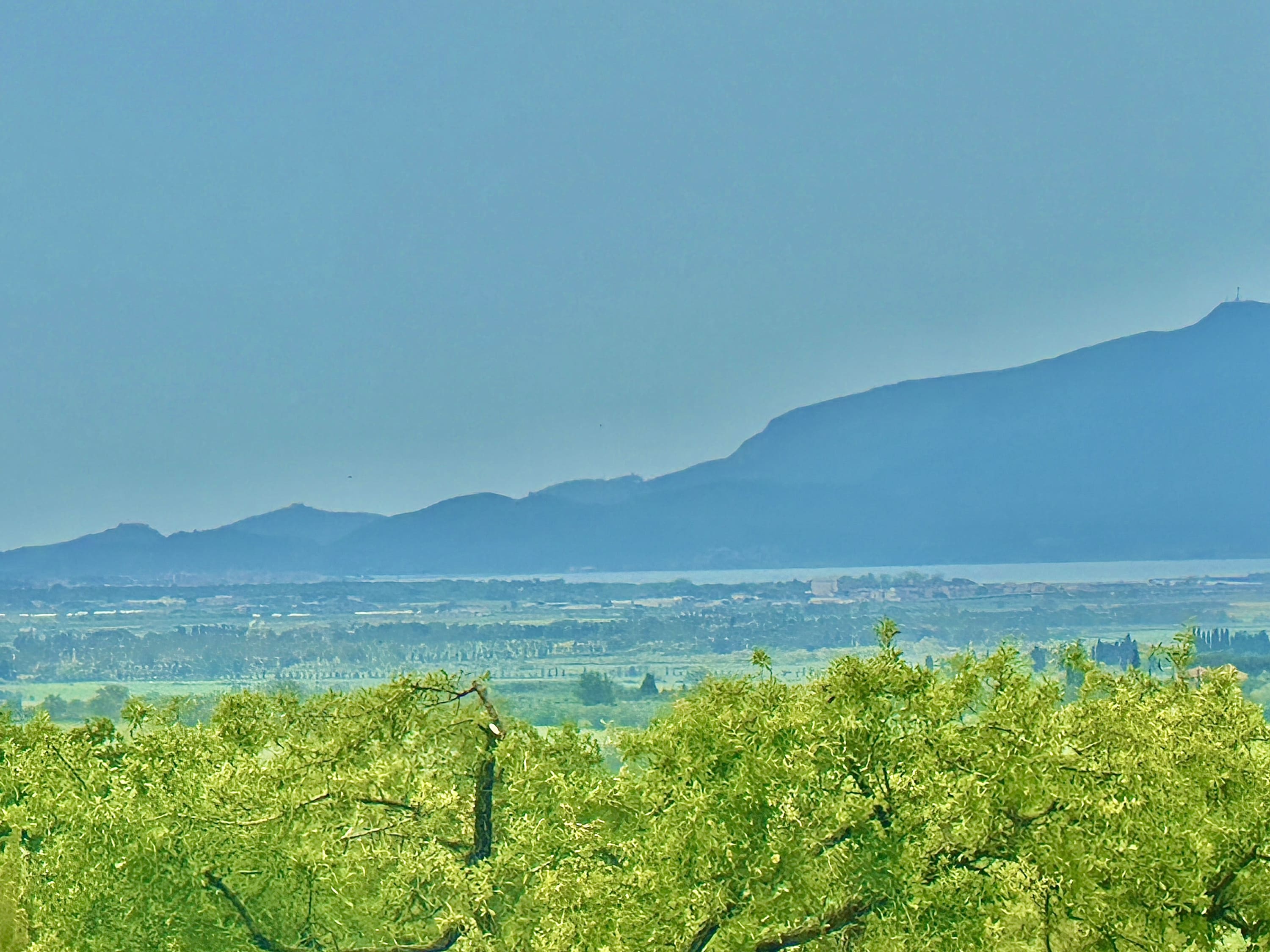 Maniero in Maremma - Image 30