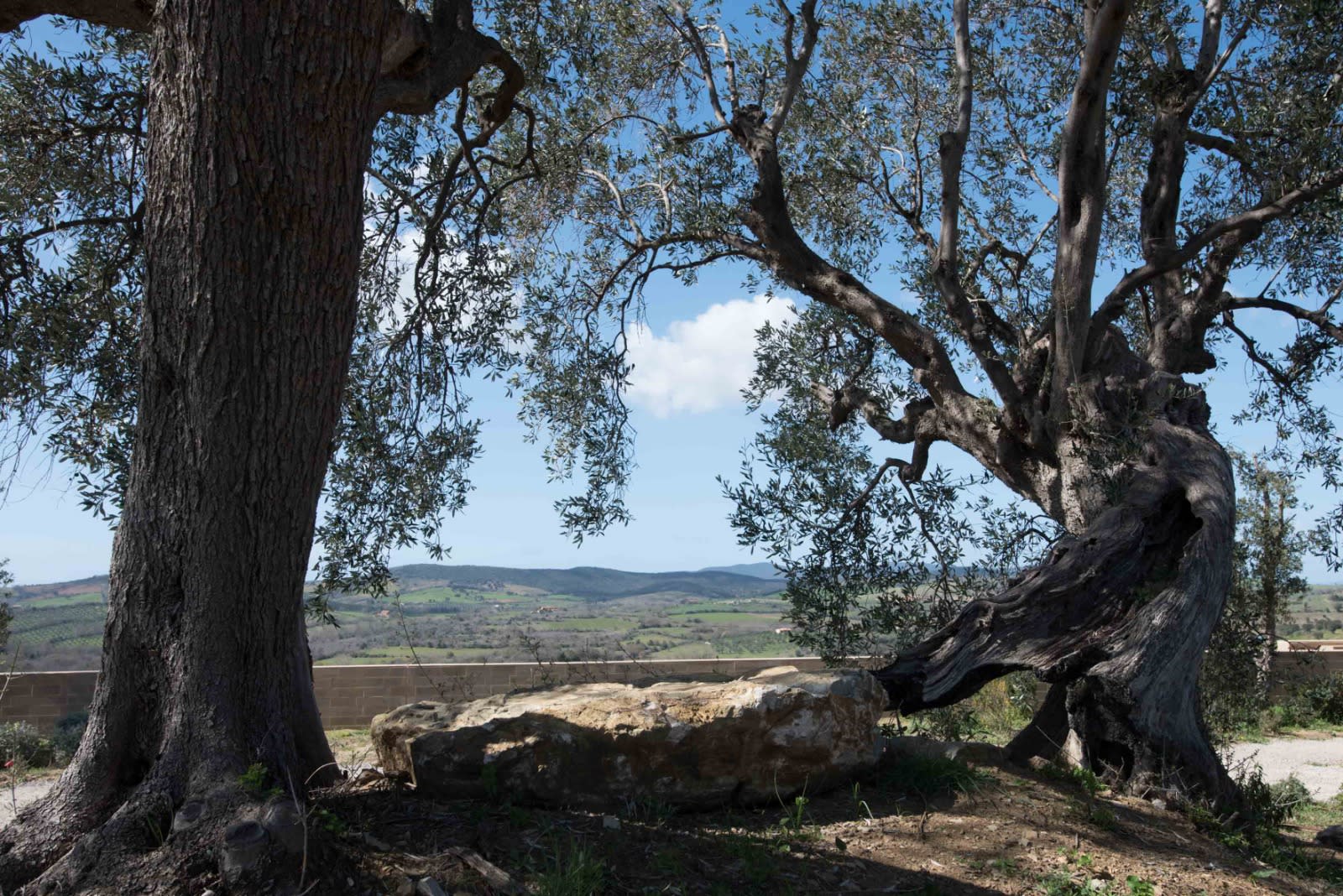 Maniero in Maremma - Image 60